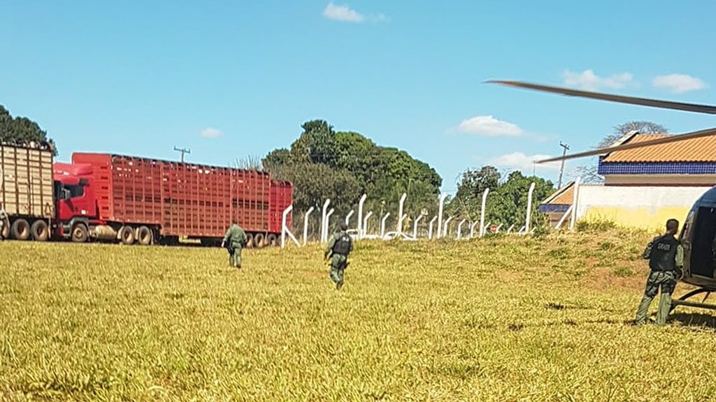 Agentes do Graer aproximam das carretas que transportavam gado roubado (Fonte: Divulgação Polícia Militar)